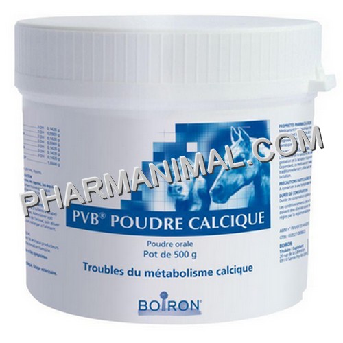 OSTEOTRAUMYL (EX PDR CALCIQUE)	pot/500 g pdr or
